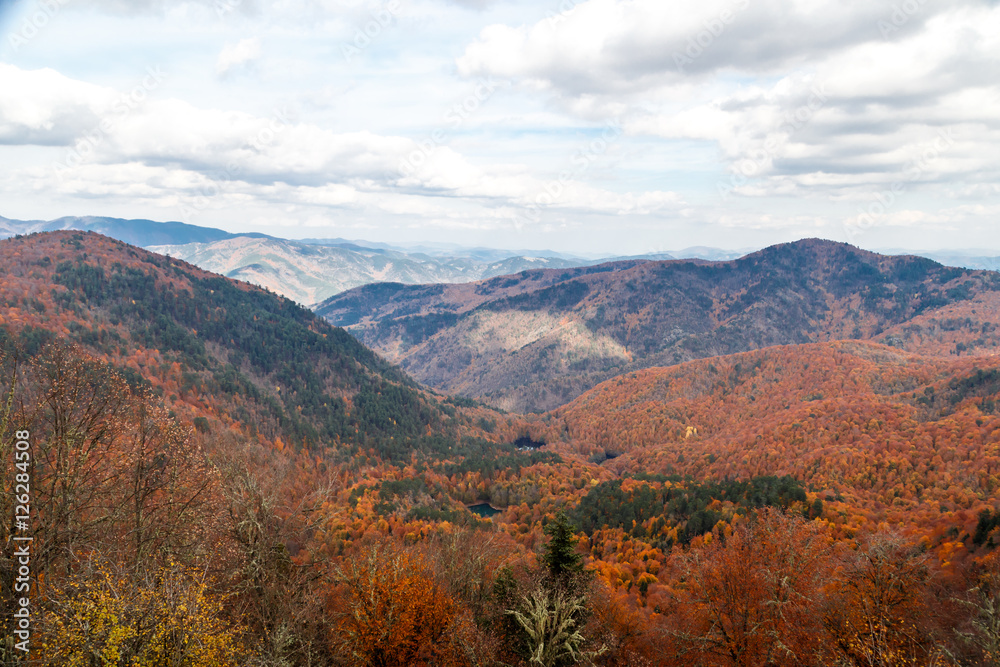 Landscape of Hills in Autumn