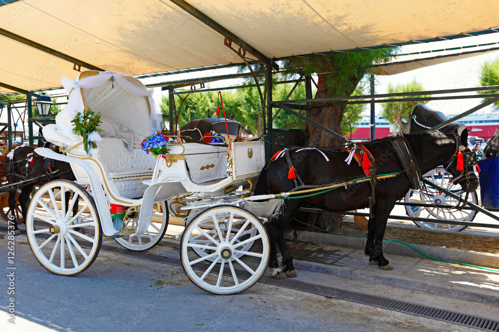 A horse drawn carriage in Aegina island, Greece