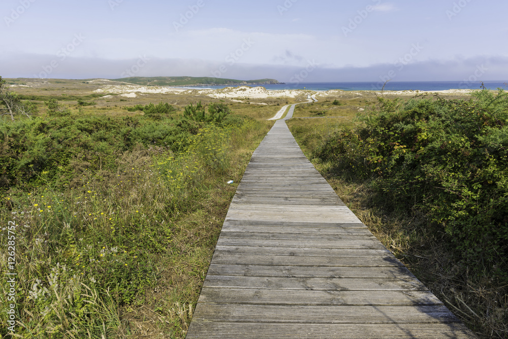 Pasarela de madera en playa de Frouxeira (Valdoviño, La Coruña - España).