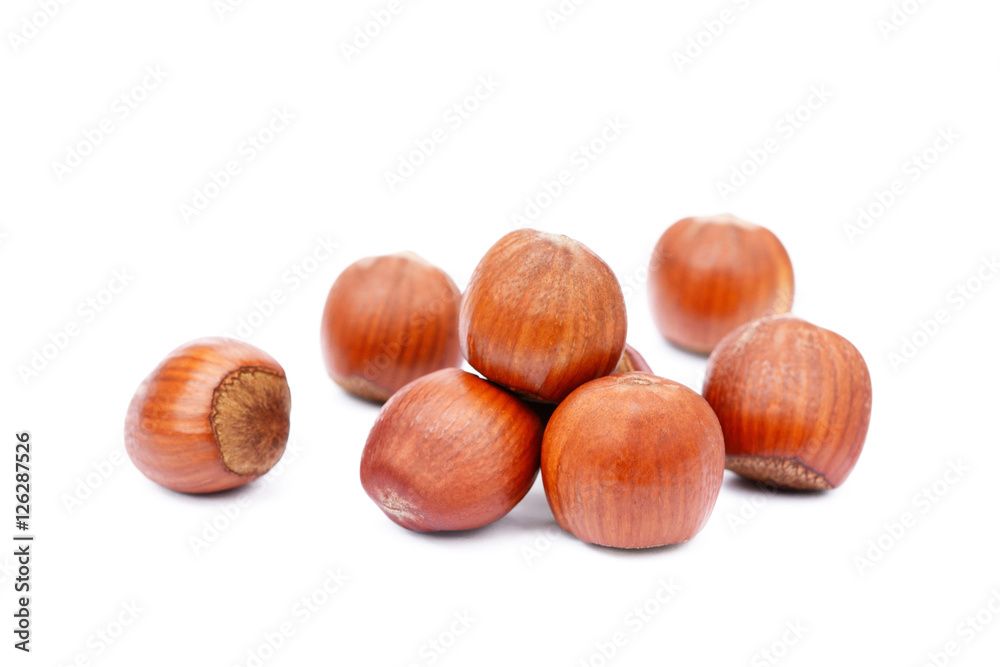 Group healty hazelnuts isolated on white background Group healty hazelnuts isolated on white background