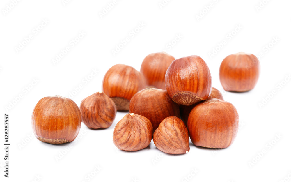 Group healty hazelnuts isolated on white background Group healty hazelnuts isolated on white background