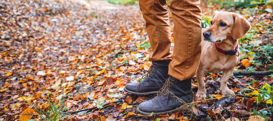 Man hiking in autumn forest with dog