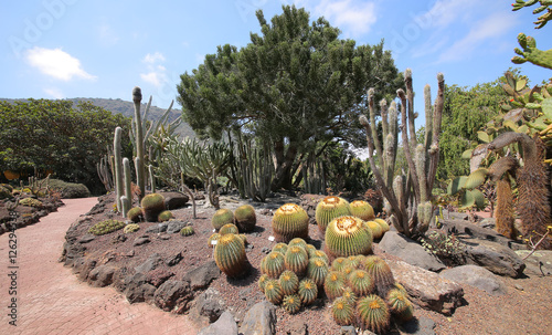 Jardín Botánico Viera y Clavijo, Las Palmas, Gran Canaria photo