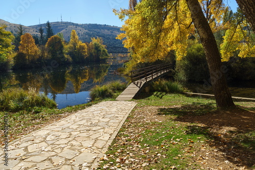 Autumn Walk