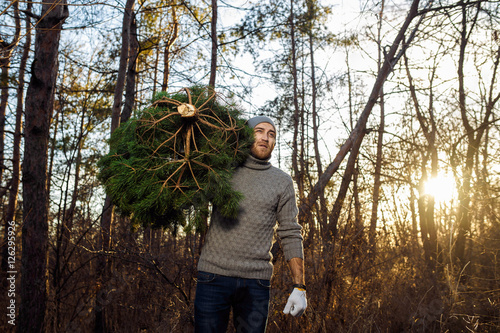 Young man is caryying christmas tree in the wood. men with a beard bears home a Christmas tree. dressed in a sweater 