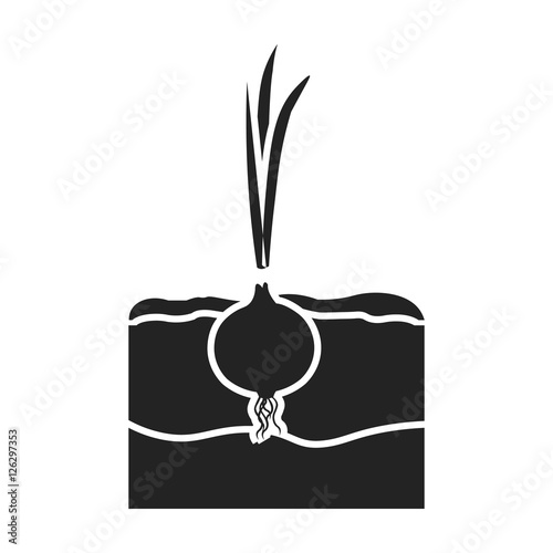 Onion icon in black style isolated on white background. Plant symbol stock vector illustration.