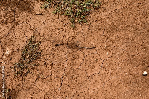 Dry soil closeup