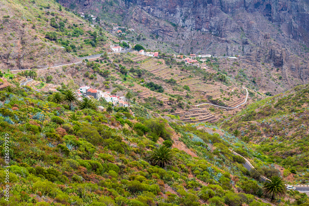 Naklejka premium Masca Village in Tenerife, Canary Islands, Spain