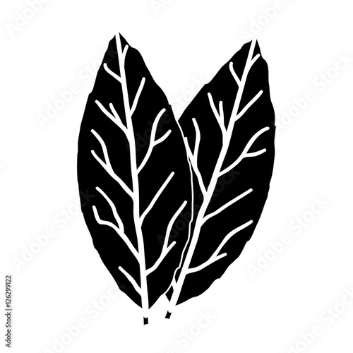 Laurus icon in black style isolated on white background. Herb an spices symbol stock vector illustration.