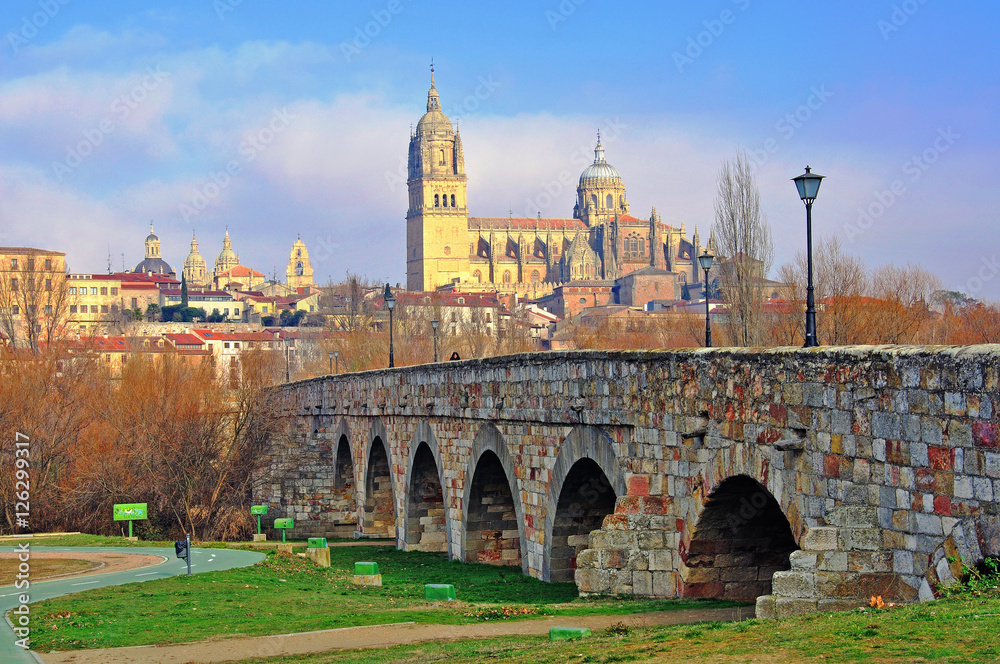 Salamanca bridge and cathedral