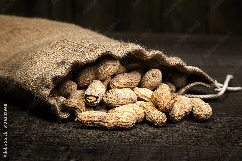 burlap bag of peanuts spilling on wood plank background burlap bag of peanuts spilling on wood plank background