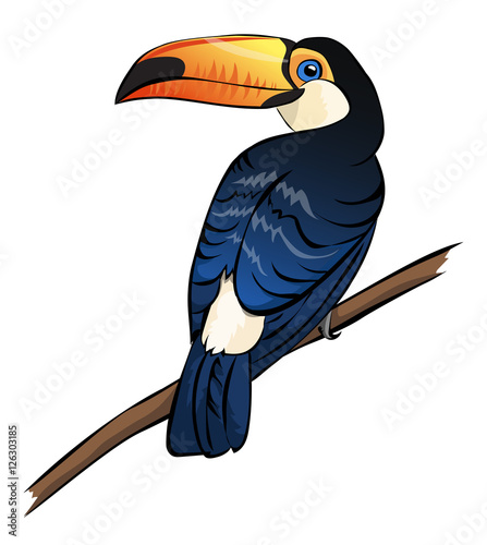 toucan bird isolated icon vector