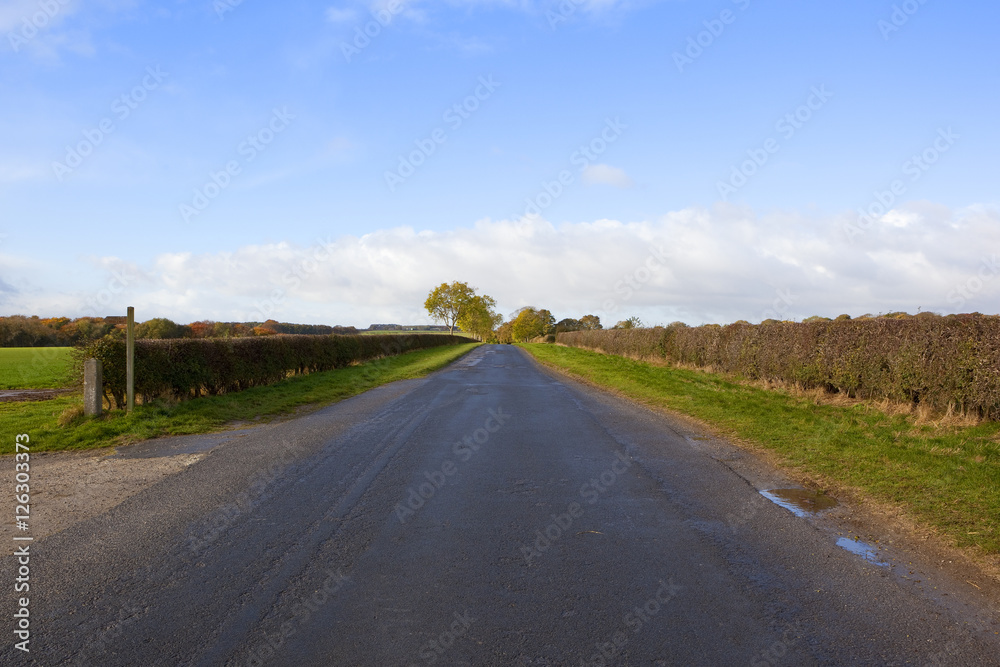 autumn highway