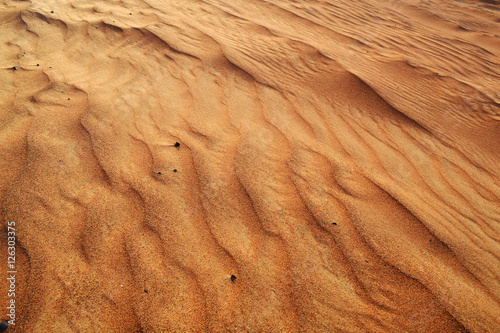 fancy wavy patterns in the sand