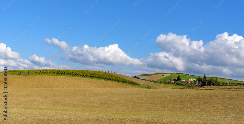 cultivated field and farm