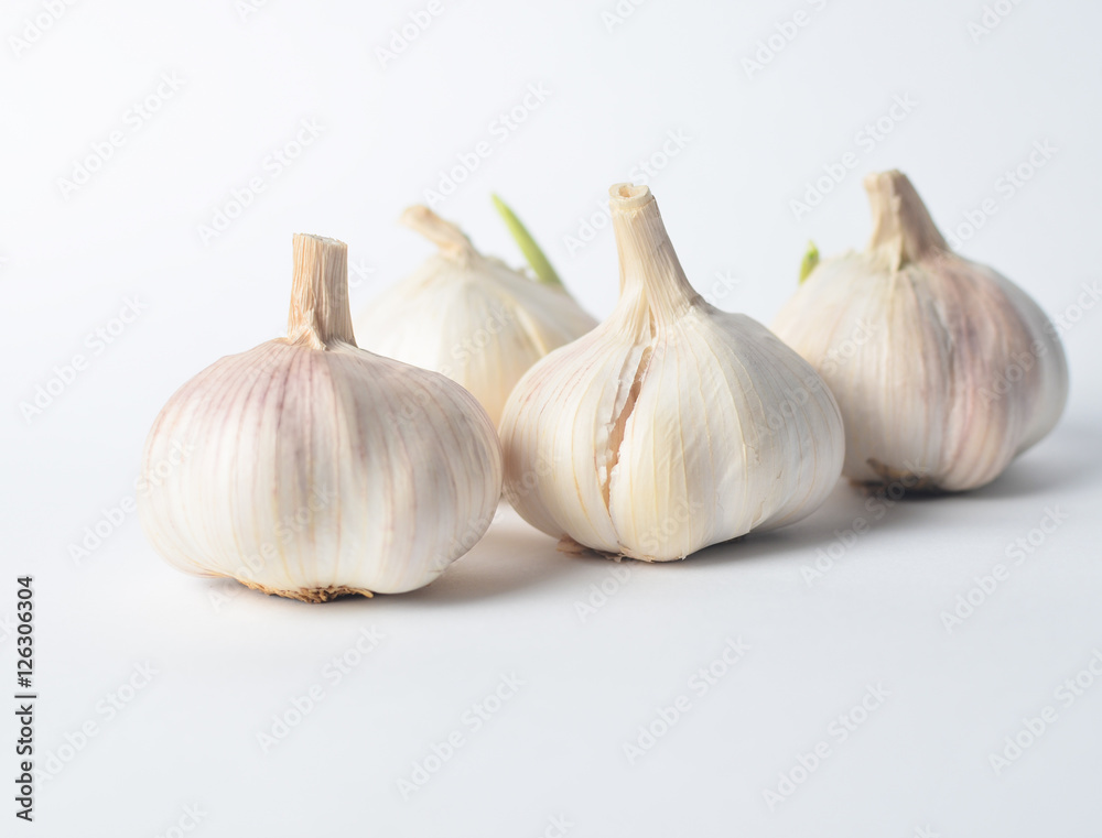 Garlic on a white background. Garlic on a white background.