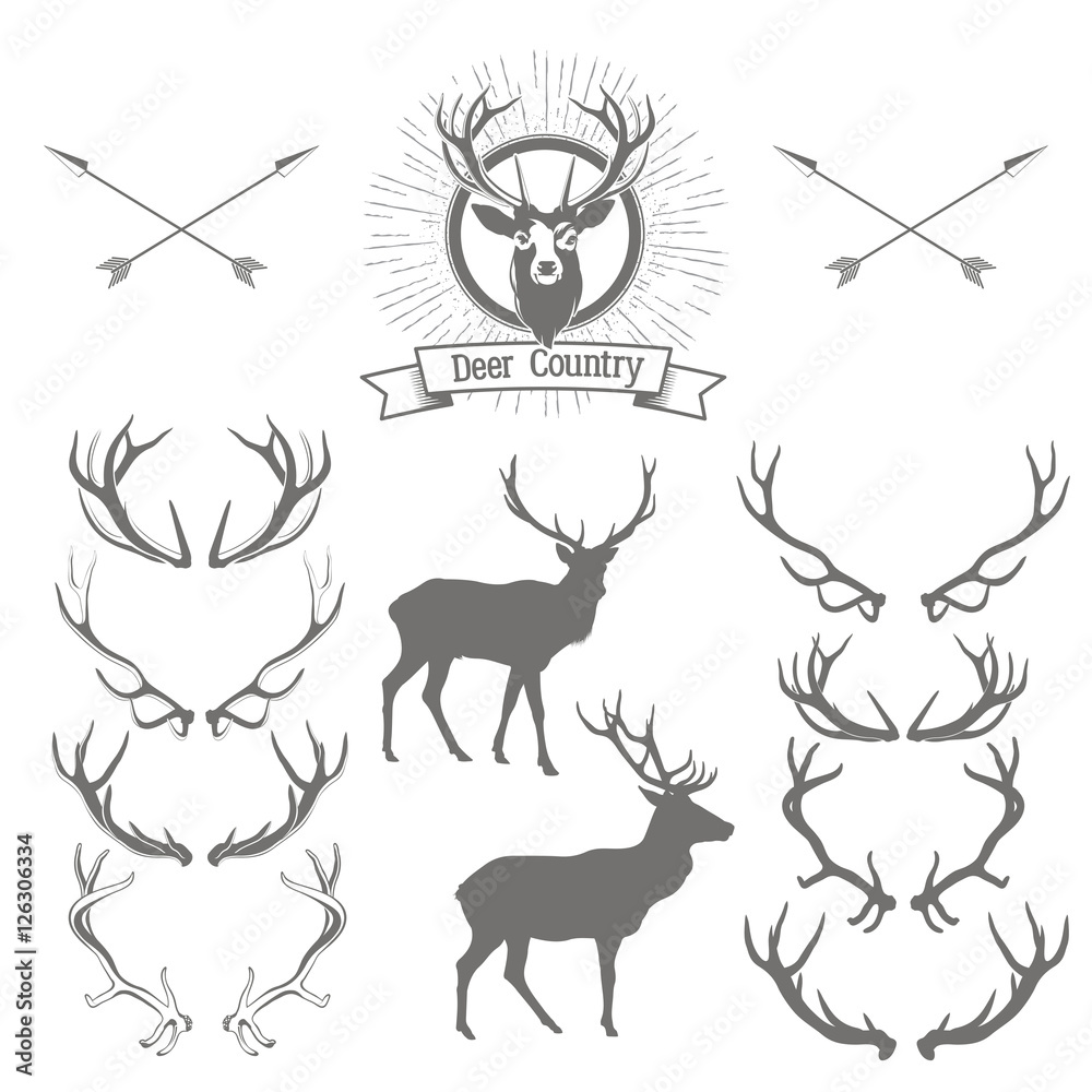 Obraz premium Set of deers silhouette, deer head and antlers. Deer logo desig