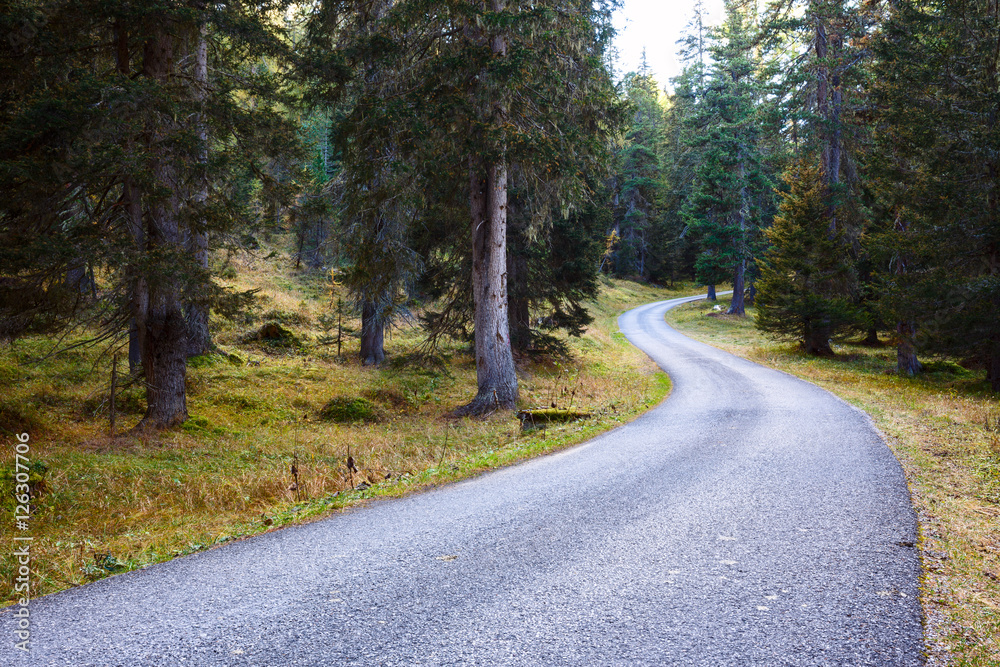 Mountain road in the mountains Dolomites Mountain road in the mountains Dolomites