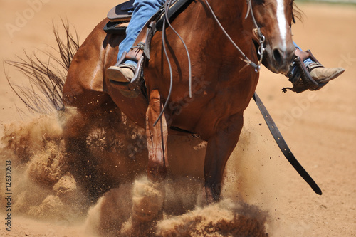 The front view of a rider on a horseback running ahead and stopping the horse in the dust.