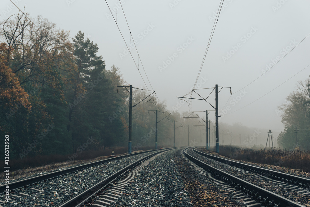Railroad in the forest on a foggy autumn day Railroad in the forest on a foggy autumn day