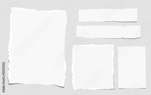 Pieces of white torn note, notebook paper sheets stuck on grey background