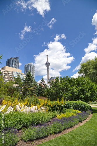 Photography Toronto waterfront