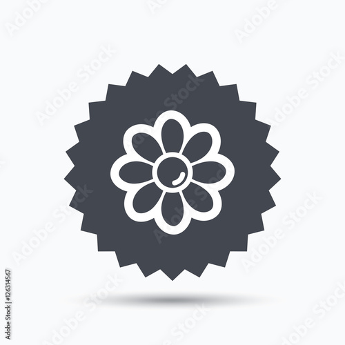 Flower icon. Florist plant with petals symbol. Gray star button with flat web icon. Vector