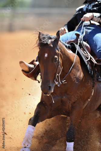 The fragment view of a rider in cowboy chaps and boots on a horseback running ahead and stopping the horse in the dust.