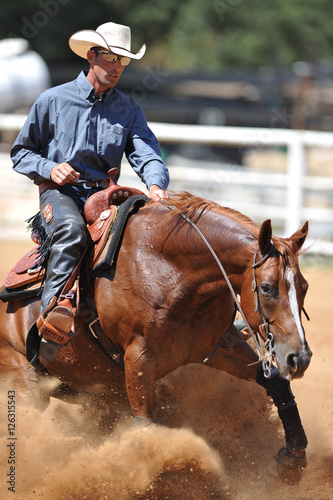 The front view of a rider in cowboy chaps, boots and hat on a horseback stopping the horse in the dust.