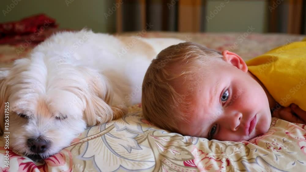 A little boy resting on his bed with dog