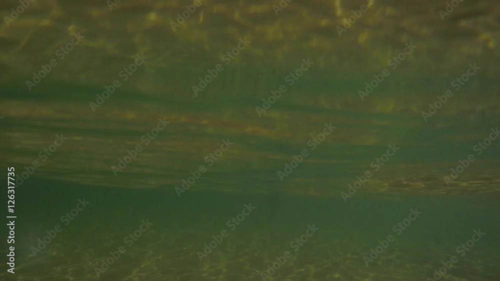 Underwater shot a little boy swims on beautiful sandy beach Underwater shot a little boy swims on beautiful sandy beach