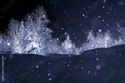 Falling snow in the night winter forest