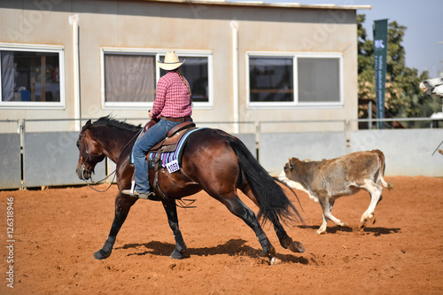 Cowboy roping a steer during a cowboy extreme competition © PROMA