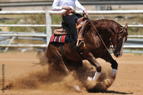The side view of a rider on a horseback running ahead and stopping the horse in the dust.