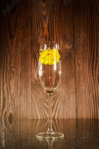 Elegant glass and delicate flower on dark wooden background. Romantic atmosphere.