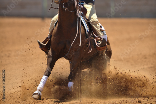 A close-up view of a horse sliding in the dirt