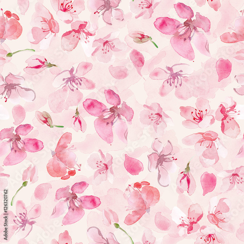 sakura flower background