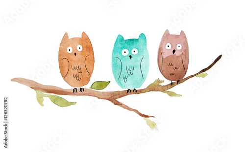 Naklejka na ścianę trzy sowy siedzące na gałęzi