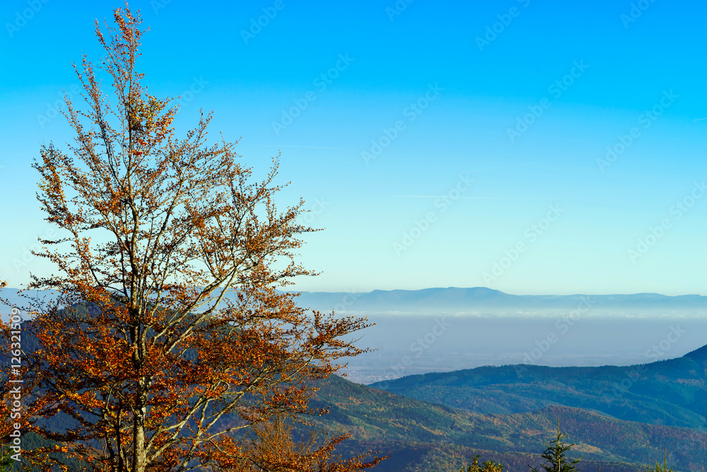 Aerial view of colorful autumnal mountains, foggy sunset Aerial view of colorful autumnal mountains, foggy sunset