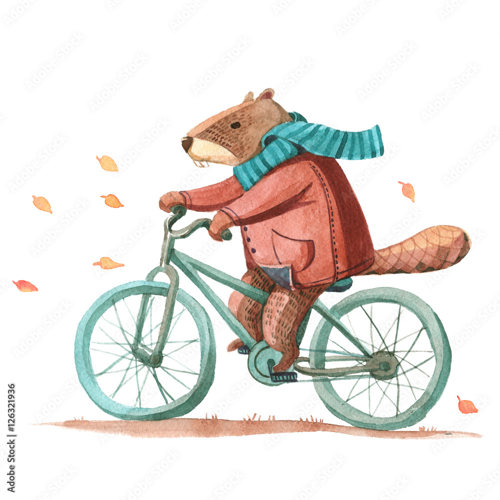Naklejka premium Watercolor beaver in coat and scarf riding a bicycle