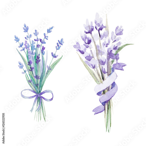 Watercolor lavender set