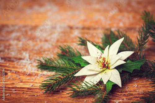 Wooden background with white poinsettia flowers