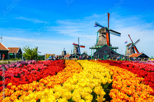 Obraz na płótnie Landscape with tulips in Zaanse Schans, Netherlands, Europe w salonie