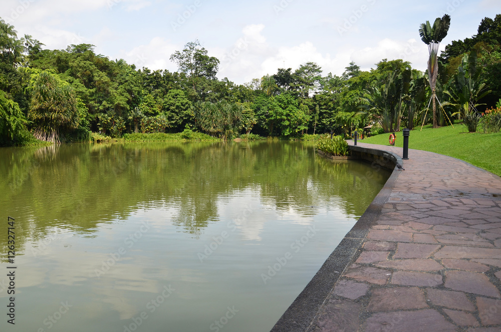 Lake in Singapore Botanic Garden Lake in Singapore Botanic Garden