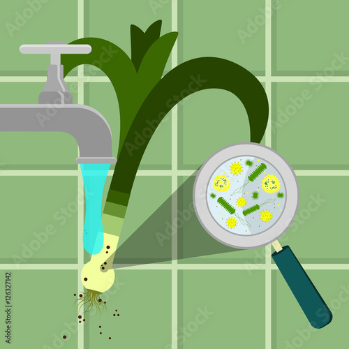 Contaminated leek being cleaned and washed in a kitchen. Microorganisms, virus and bacteria in the vegetable enlarged by a magnifying glass. Running tap water.