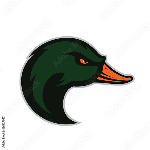 Duck head mascot