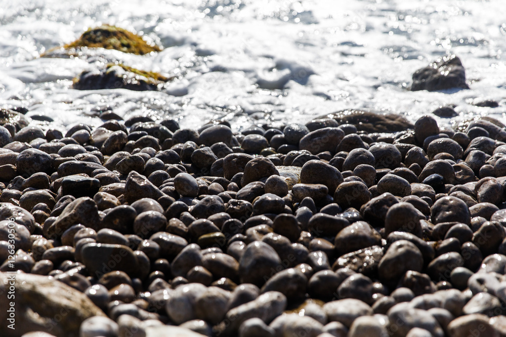 Fototapeta premium Beach pebbles on seacoast in afternoon