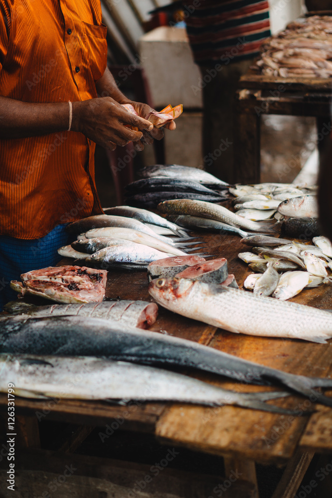 Fresh Fish Market Fresh Fish Market