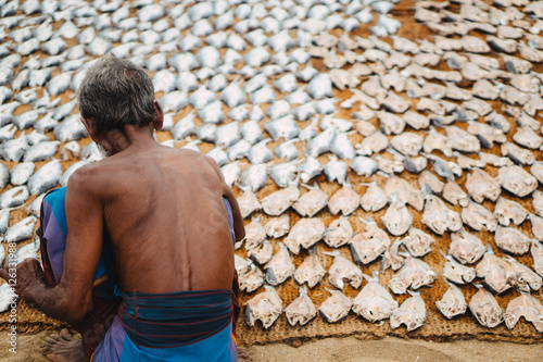 Vászonkép Fish drying in the sun