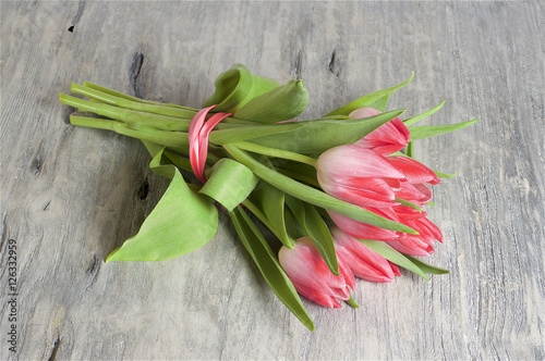 Pink tulip, grey wooden background